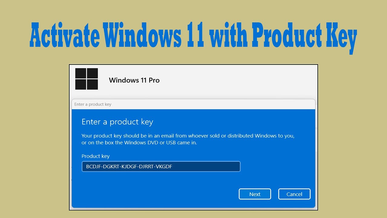 windows 10/11 pro product key