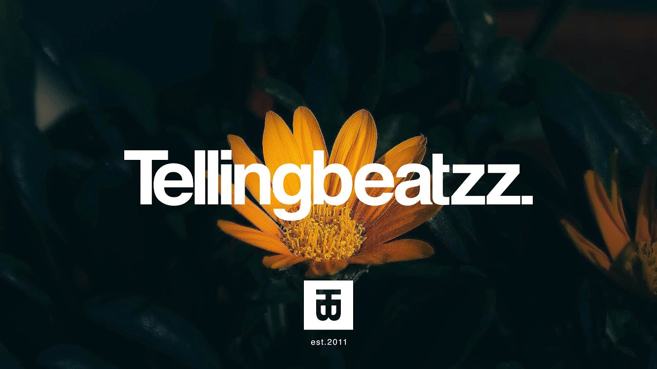 Mac Miller x Teddy Swims Type Beat - "They Say" with Hook