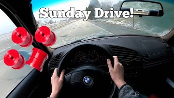 The Truth About Poly