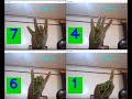 Finger counting based on hand tracking and opencv with full source code