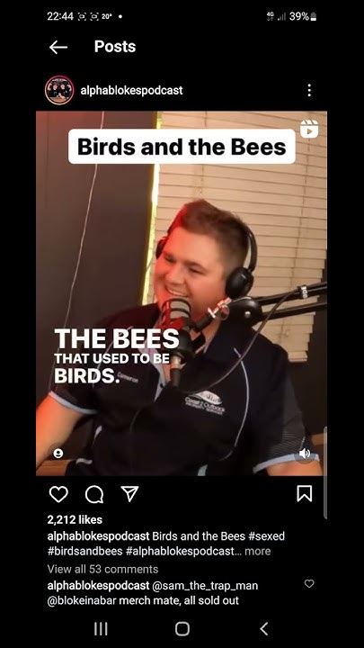 Alpha Blokes Podcast Birds And The Bees - YouTube