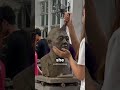 Why Is She DESTROYING Her ART?!