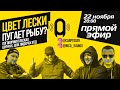 ЦВЕТ ЛЕСКИ ПУГАЕТ РЫБУ? Выбираем ШНУР для ЛОВЛИ КАРПА!