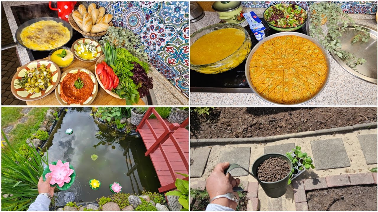 رغم العاصفة والرياح الشديدة ما وقفنا شغل👌نزلت النوافير واللوتس🪷بالبركة،غدانا كبة بالصينية بدون هبرة