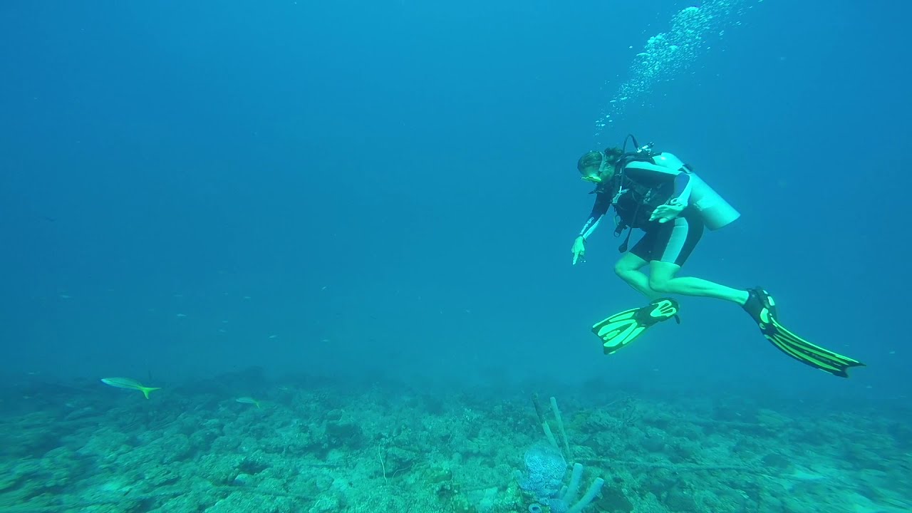Divers paradise - Bonaire