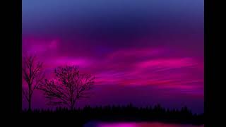 Purple Sunset in the woods | Procreate