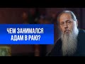 Чем занимался Адам в Раю?