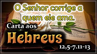Carta aos Hebreus 12 5 7 11 13 com reflexao