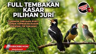 🔴 Live Full Tembakan Kasar Greja Tarung Cucak Cungkok Gacor vs Jalak Suren Gacor vs Prenjak Tir