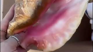 Working in Nassau and Outfit of the Day1