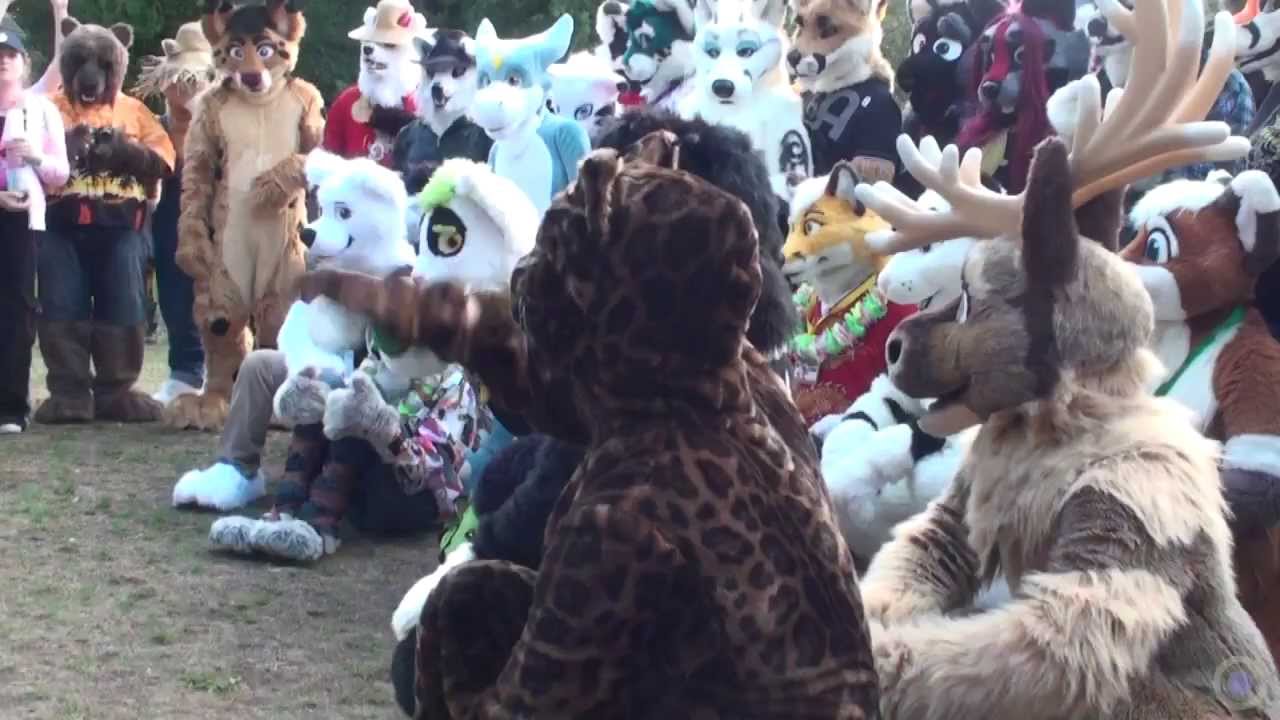 Eurofurence 19 - Furries at Magdeburg Zoo - YouTube