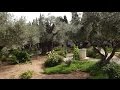 Garden of Gethsemane and Church of All Nations