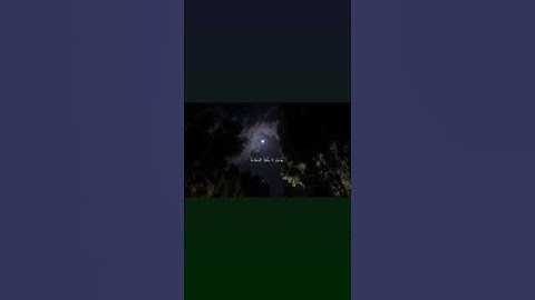 وخشعت الأصوات للرحمن فلا تسمع إلا همسا.. القارئ شريف مصطفى