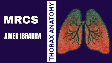 Thorax Anatomy MRCS