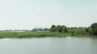 Sông Nước Quê Tôi