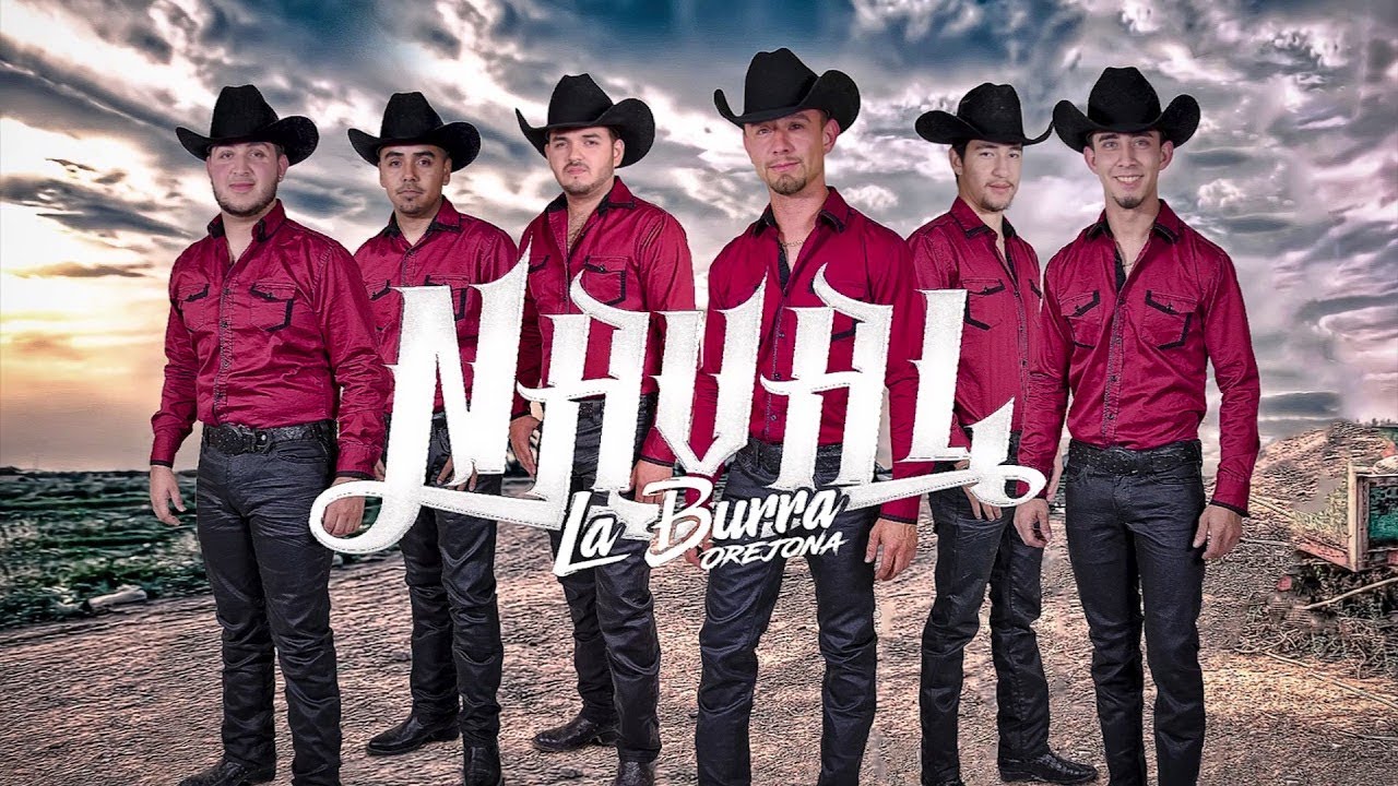 Naval | La Burra Orejona