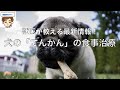 【獣医師がやさしく解説】犬の「てんかん」の食事療法　〜獣医師がおしえる最新情報〜
