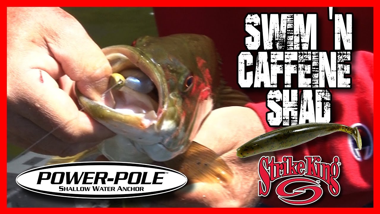 Strike King Swim'n Caffeine Shad 5 Baby Bass