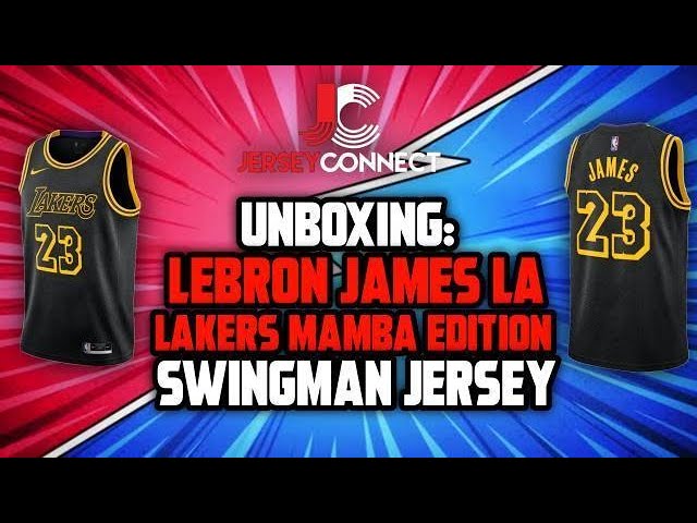 Nike Lebron James Lakers Gray Swingman Jersey Size 48 Wish logo