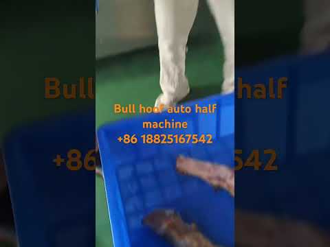 Frozen Bull Hoof automatic half machine +86 18825167542