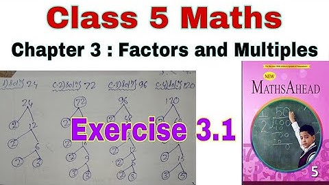 Class 5 Maths Ahead Exercise 3.1 | Maths Ahead | Class 5 | Factors and Multiples | Prime Numbers