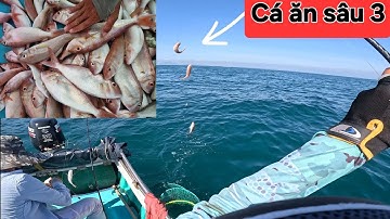 Câu trúng đậm ổ cá Đổng,cá ăn liên tục kéo đã tay. 4h câu 27kg, câu cá biển gần bờ.@