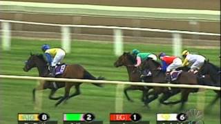 2002 Breeders' Cup Turf