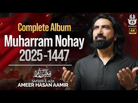 Ameer Hasan Aamir Nohay 2025-1447 | Complete Noha Collection | Muharram Nohay 2025 | Indian Nohay