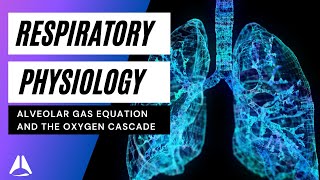 Respiratory physiology lecture 7 - Alveolar gas equation, oxygen cascade  - anaesthesia part 1 exam