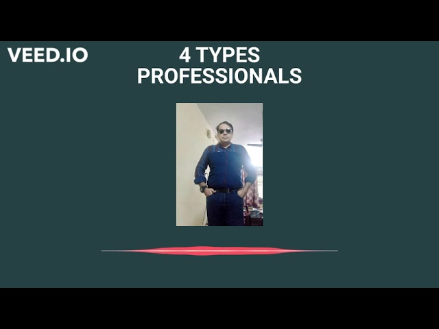 4 TYPES OF PROFESSIONALS