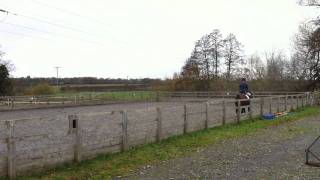 Star at Reaseheath.MOV