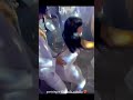 Camila Cabello Dancing Camila Cabello Dancing
