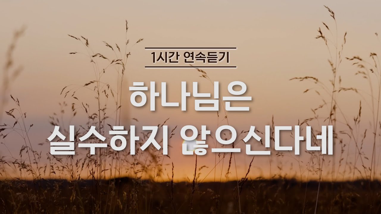 [1시간반복 듣기] 하나님은 실수하지 않으신다네 by 김대환