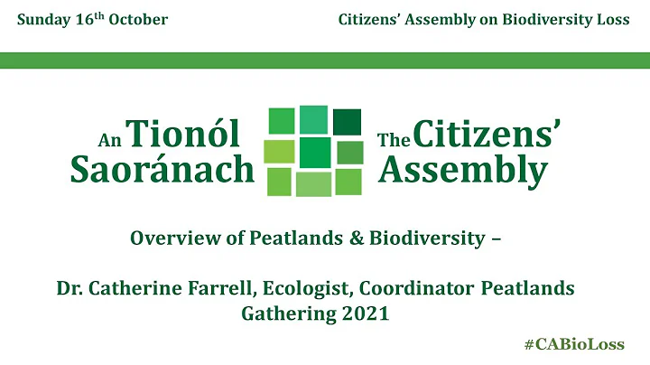 CA Dr  Catherine Farrell 151022 Recording 10 4