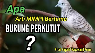 Arti Mimpi Burung Perkutut Menurut Kitab Hayatul Hayawanil Kubro