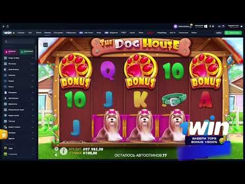 «Качайте 1Win сейчас и начните играть в онлайн-казино на вашем iOS-устройстве!»