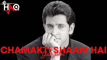 Chamakti Shaam Hai VIDEO | Yaadein | DJ Haq | Hrithik Roshan | Kareena Kapoor | Bollywood Remix