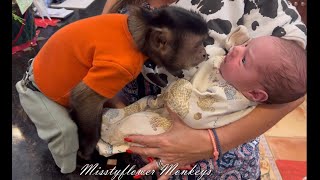 Monkeys meet human baby Riley ♥️♥️♥️