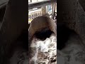 Making of Disposable plates processing