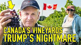 CANADIAN VINEYARDS ARE AN ACT OF RESISTANCE