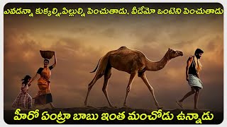 Bakrid (tamil) full movie explained in telugu | fullmovieexplainedintelugu | telugumoviesexplained