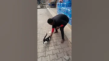 Mchina Mweusi Comedy Msanii Wa Alikiba Kituko Tupu 