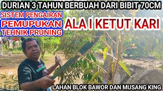 Tehnik Pruning Durian Cepat Berbuah Ala I Ketut Kari