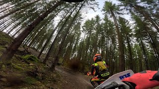 ENDURO RIDING MCK HALLANDIA SLÄGARP 24 03 24 HUSQVARNA FE 450 24