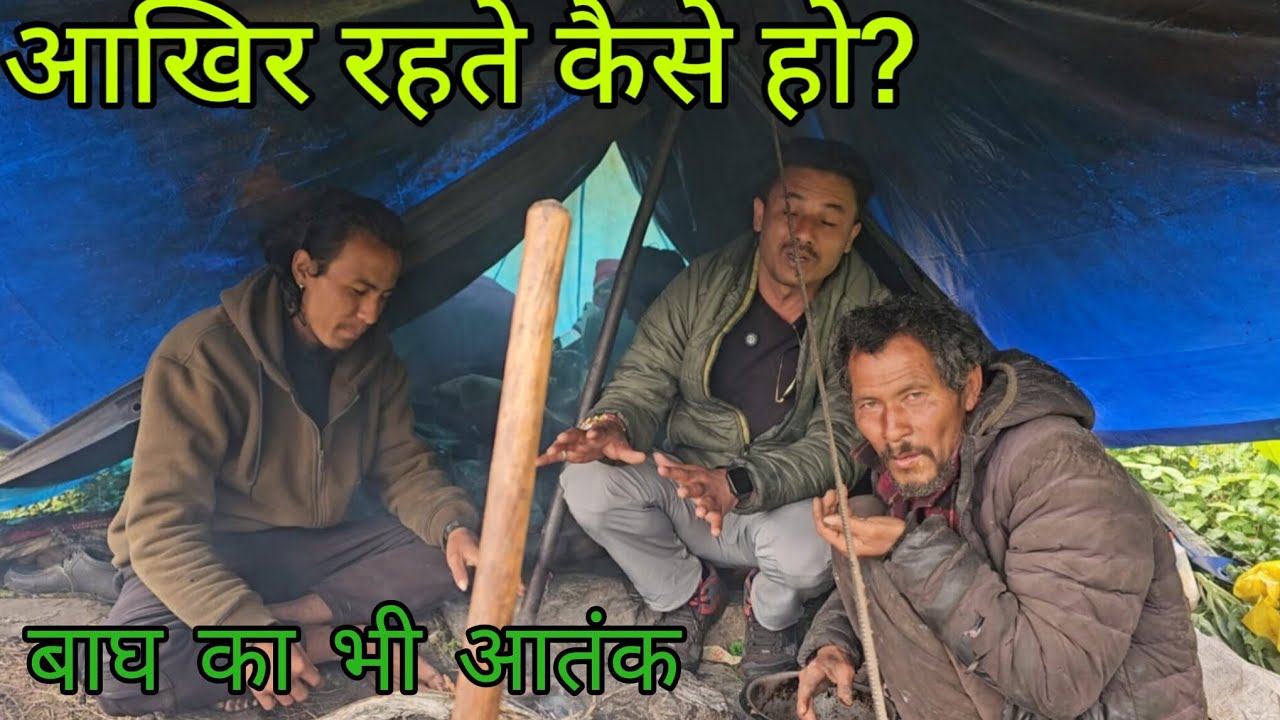 प्रकृति के गोद स्वर्ग में भेड़ पालकों का जीवन || Johar trek ||  Namik Glacier Trek 