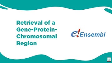 Bioinformatics: Retrieval Of A Gene-Protein-Chromosomal Region | BioCode Ltd