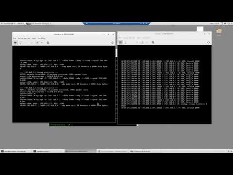 Fast DDoS Detection and Mitigation in SDN Environment