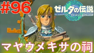 96 跳ね上がる力！マヤウメキサの祠【ゼルダの伝説 ティアーズ