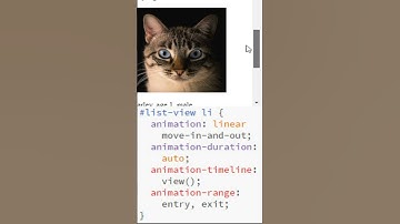 CSS scroll Chrome 115 animation range entry exit