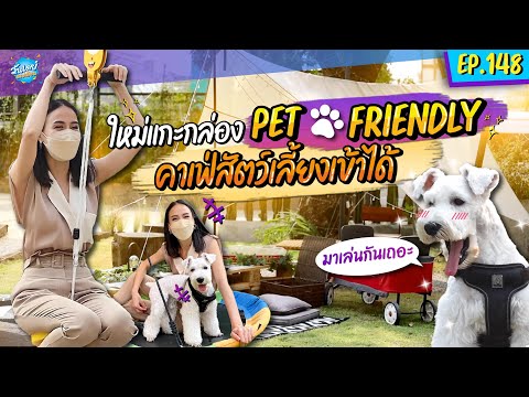 ทาสปลื้ม! Pet Friendly คาเฟ่น้องใหม่ ย่านกรุงเทพกรีฑา  I ONE DAY SPECIAL EP.148 | รถเมล์